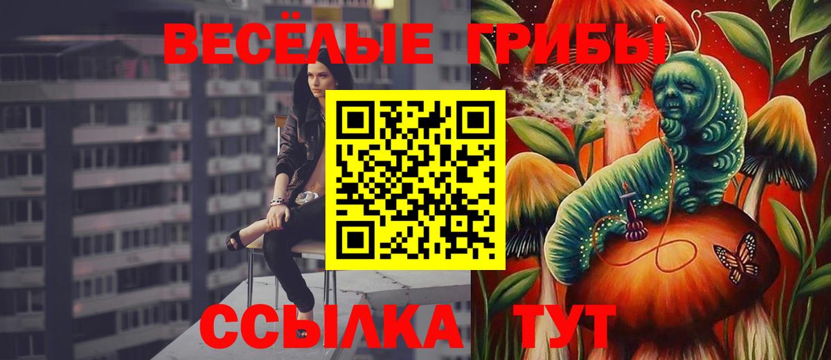 Псилоцибиновые грибы MAGIC MUSHROOMS Тольятти